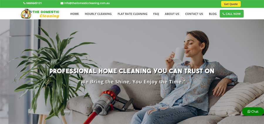 the domestic cleaning